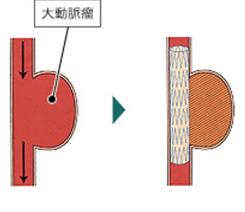 奈良県立医科大学 放射線・核医学科